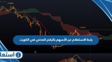 رابط الاستعلام عن الأسهم بالرقم المدني في الكويت