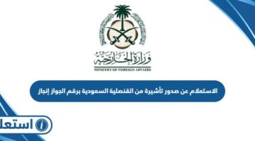 الاستعلام عن صدور تأشيرة من القنصلية السعودية برقم الجواز إنجاز