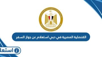 القنصلية المصرية في دبي استعلام عن جواز السفر