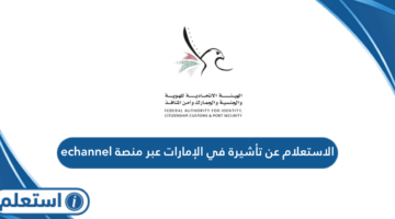 الاستعلام عن تأشيرة في الإمارات عبر منصة echannel